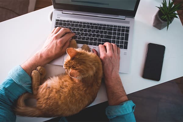 5 Best Psychic Reading Sites For Pets According To An Expert | Blog Post