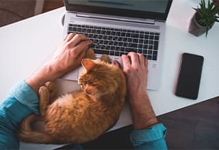 5 Best Psychic Reading Sites For Pets According To An Expert | Article Thumbnail